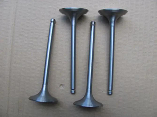 GE Exhaust Valve/intake valve