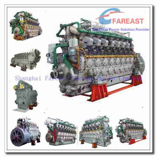 DF 16V280 piston / DF piston ring / DF connecting rod
